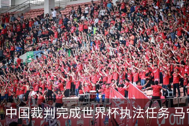 中国裁判完成世界杯执法任务 马宁期待能有更多中国裁判走得更远