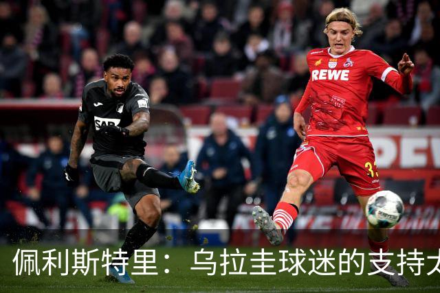 佩利斯特里：乌拉圭球迷的支持太给力了，我们会一场一场拼