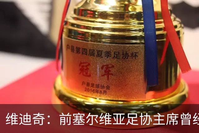 维迪奇：前塞尔维亚足协主席曾经招揽社会闲散人员跟踪我、袭击我