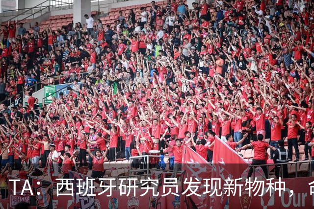 TA：西班牙研究员发现新物种，命名为“沃齐尼亚的海蛞蝓”